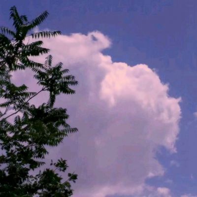 侠客行手游下载
